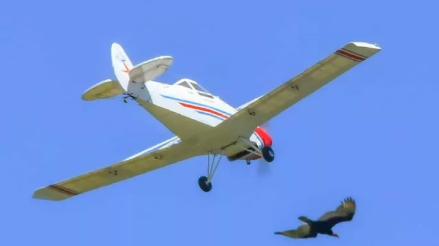 “Tener un aeromodelo en lo económico es igual a cuando vas por tu primer coche” (un avión Jet puede costar hasta 12.000 dólares)