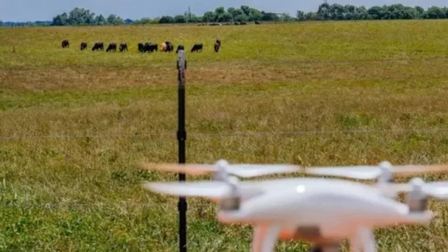 Se viene la revolución de la ganadería con Inteligencia Artificial (para eso nació Ganader IA)