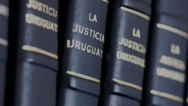 ¿Está de acuerdo en reformar el Código Penal que busca disminuir las penas por homicidio y rapiña y ampliar la definición de homicidio piadoso?