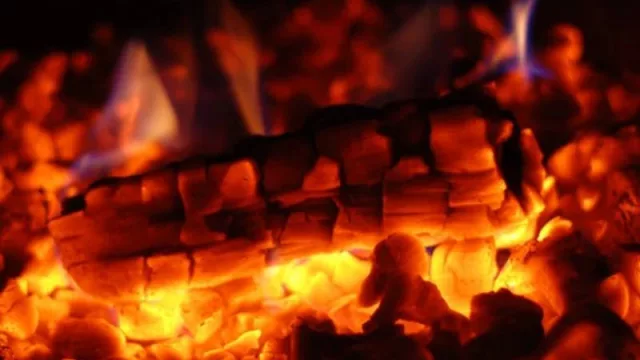 Volvió el otoño ¡y temprano! (Leña o briquetas de madera ¿Cuál elegir para mi estufa?)