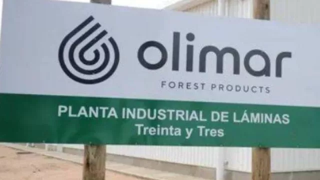 Inyectando valor a la cadena forestal (AF invierte 7M millones de dólares en nueva planta)