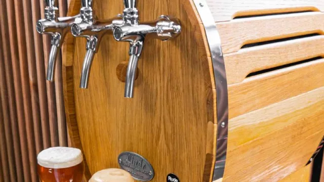 ¿Choperas en casa? Una tendencia al alza (cuánto cuestan)