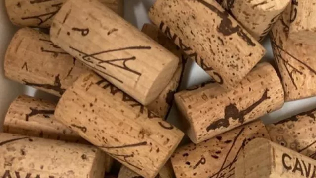 La selección de Cavani (no son 11 ni es de fútbol… son tres vinos Premium)