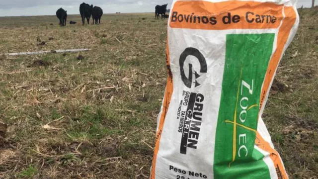 Para estar más cerca del productor (Grumen se expande con nueva planta y más tecnología)