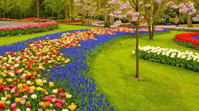 Montevideo Garden Week (Via Disegno 25 al 28 de abril, 13 a 19 hs)