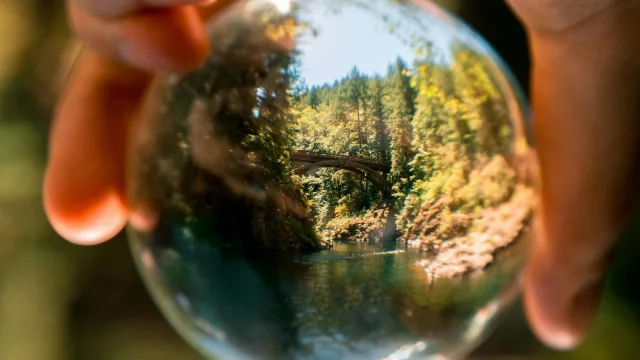 Restaurar ecosistemas... ¿A dónde se dirigen las empresas del mañana? (la sustentabilidad es la clave)