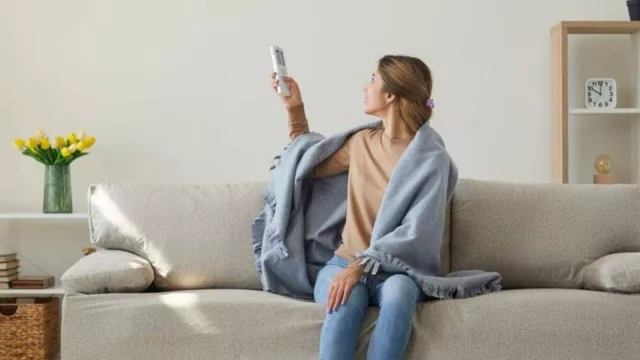 ¡Se vino el frío… qué no ni no! (leña, electricidad y supergás principales fuentes de calor)