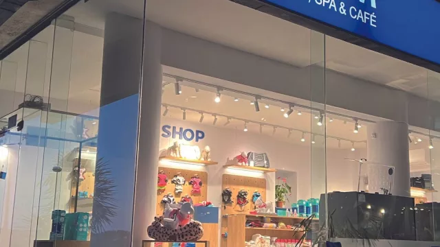 Una solución para bañar a tu perro sin tener que esperar días (directo desde Barcelona)