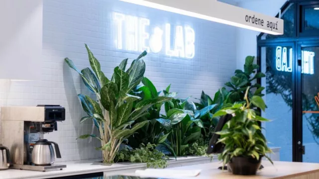 The Lab Coffee Roasters lanzó su modelo de franquicias para todo el país (mirá lo que tenés que invertir para abrir una cafetería)
