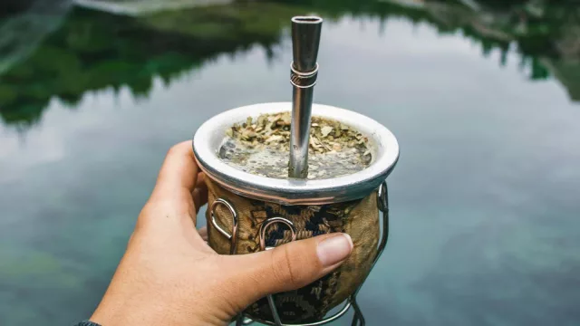 ¿Tomamos un mate? En Uruguay se comercializaron casi 30 mil toneladas en 2023, y la yerba regular lidera con el 54% de todas las ventas