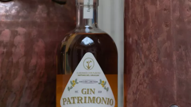 Más sabores de plantas nativas (la flor de espinillo se metió en el Gin Patrimonio)