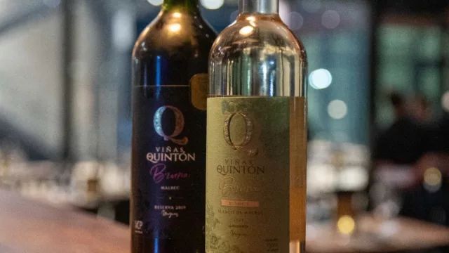 Ahora la lidia es entre copas y tapas (Plaza de Toros de Colonia tiene un bistró de Viñas del Quintón)