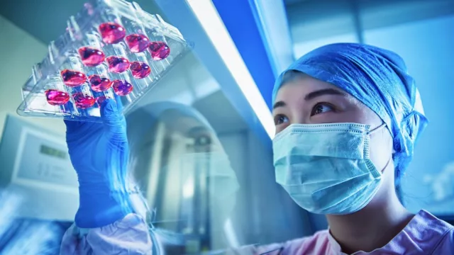 Para inspirarse y seguir el camino (llega 17ª edición del Premio  L'Oréal-Unesco)