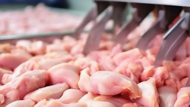 A la baja y sin volar (precio de pollo cayó 9,12% en los últimos 3 meses)
