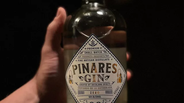 Gin Pinares lanzó el gin Zero, 0.0% sin alcohol: En dos semanas arrasó el stock (y ya volvió)