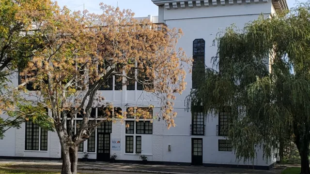 Estas son las cinco empresas se disputan la rehabilitación del Frontón de Pelota en Colonia (5.000.000 de dólares para el proyecto más económico)