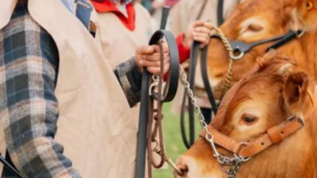 Record de asistencia al Pabellón de Italia en la Expo Prado, más de 144.000 visitantes