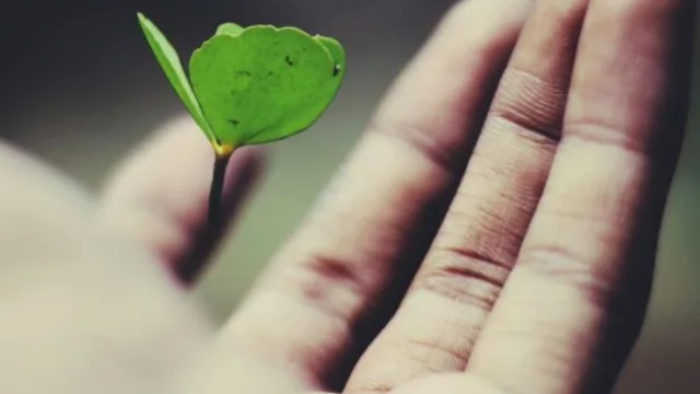 FNC recibió la Certificación de Empresa B