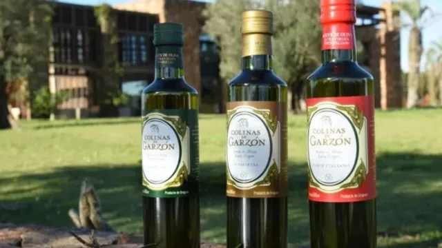 Colinas de Garzón recibe el más importante y prestigioso Premio de la Industria Olivícola a nivel Mundial: Mario Solinas 2024