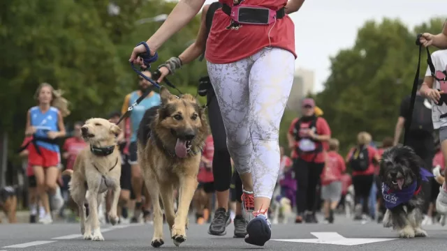 A seis huellas de la meta (se viene la 1ᵃ “Perrotón Solidaria”)