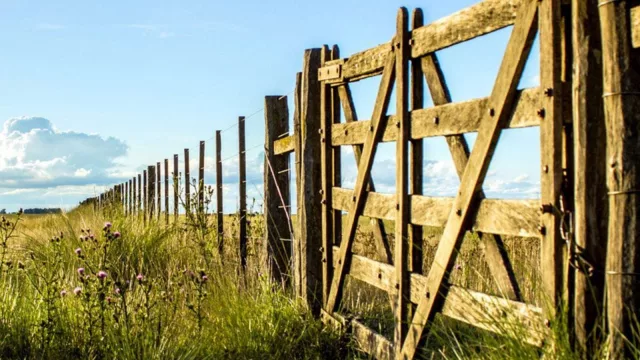 El 1º semestre de 2024 creció compraventa de campos (monto de operaciones superó los US$ 700 millones)