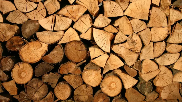 A prender fuego… Llegó la temporada de asados y fogones (y Platero lo sabe)