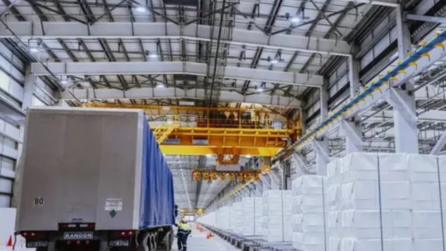 Celulosa va por 5º mes consecutivo líder en exportaciones (y octubre marca siete meses de alza)