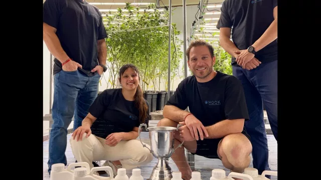 Fertilize it (con Hook las plantas de cannabis tienen una solución nutritiva UY)