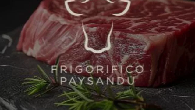 Andá comprando freezer que abre Frigorífico Paysandú (que te vende ½ res en su carnicería)