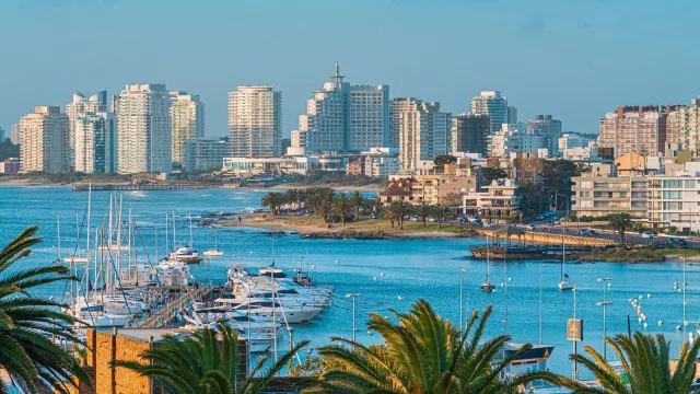 ¿Cuál fue la marca que más viste en Punta del Este?