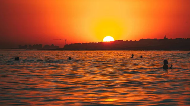 Maldonado: temporada más segura y con mayor dinamismo comercial