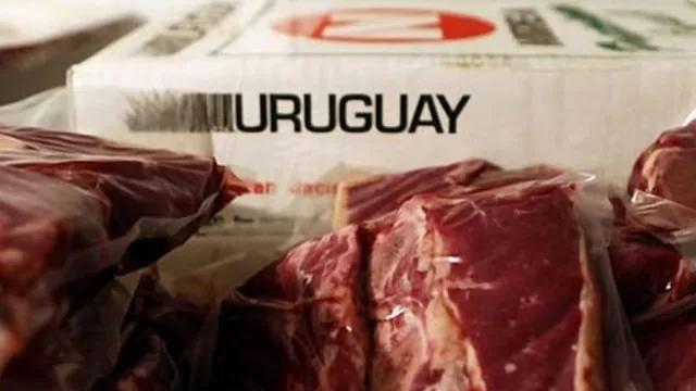 Hasta sirve para varios platos típicos (en Filipinas abren el mercado a la carne UY)