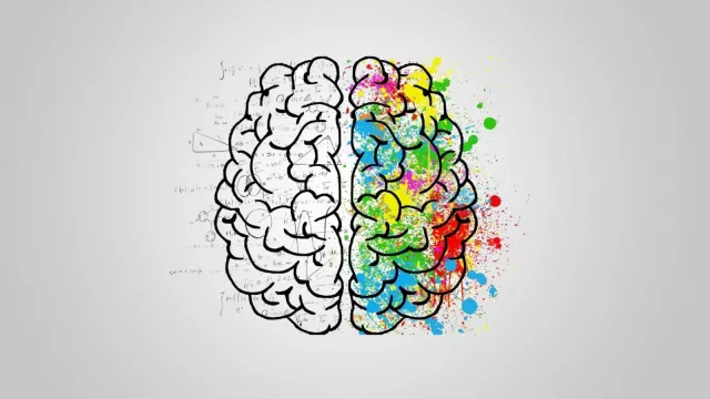 La neurociencia entre el marketing y los negocios (Summit 2025 de Neuromarketing)