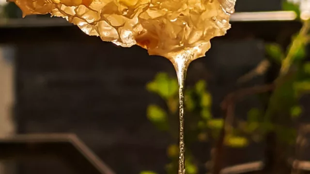 NectarBee nació para exportar miel, se transformó en líder de mercado y hoy construye nuevo centro logístico en San José (con inversión de US$ 1.500.000)