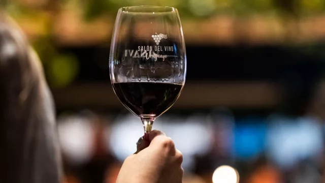 No hay excusas para no brindar (vuelve el Salón del Vino Uruguayo a Punta del Este)