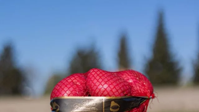 Una de cada cuatro papas que se consumen en Uruguay es producida por Britos Hermanos