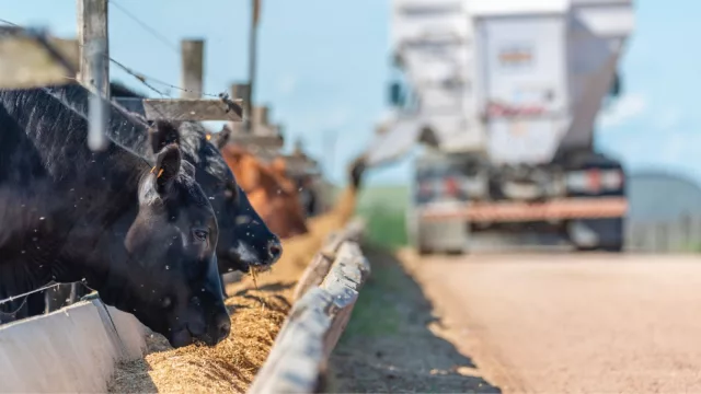 Producción sustentable de carne premium (ADP-Agronegocios del Plata se consolida en este negocio)