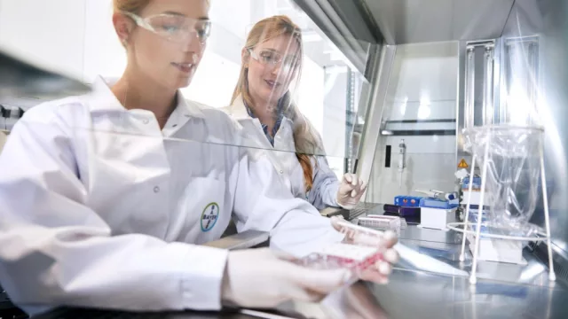 Abrieron las inscripciones para LEGADO 2025, un programa que busca potenciar startups con impacto social en la región