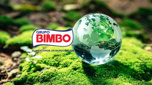 Si es Bimbo es con foco sustentable (el grupo reporta avances en su estrategia de medio ambiente)