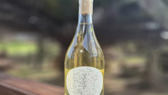 Quintaesencia: el emprendimiento inédito que reúne a amigas de cuatro bodegas diferentes