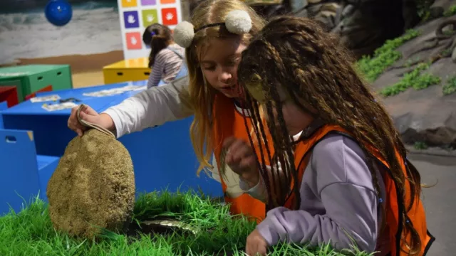 El museo donde está prohibido no tocar (vacaciones de julio en Espacio Ciencia)