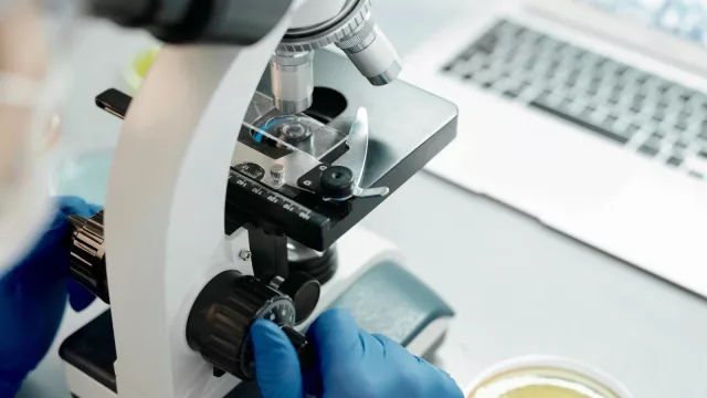 Eolo Pharma avanza con su fármaco contra la obesidad: la fase II será en Chile y busca alianzas para llegar al mercado en 5 años