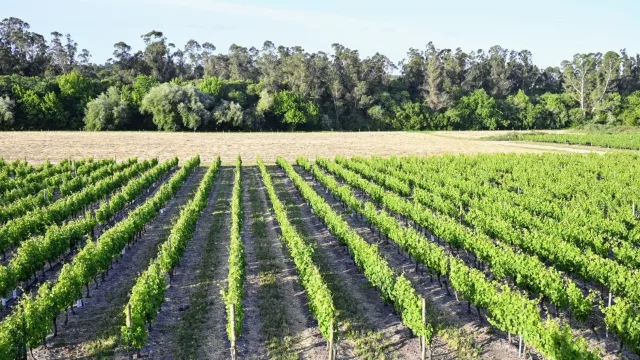 Tras el pasado récord veraniego Uruguay promoverá su turismo con inteligencia artificial