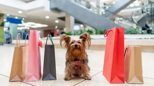 Portones cumple un mes como shopping pet friendly (y recibió más de 200 visitantes con perros y gatos)