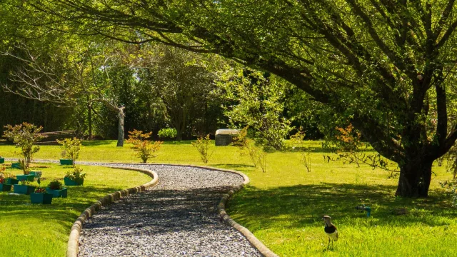 Parque del Este: el espacio que transformó la despedida de las mascotas en un acto de amor (y conciencia)