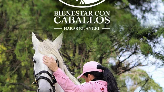 Bienestar con caballos: la fundación que está llevando las técnicas de equinoterapia al mundo corporativo