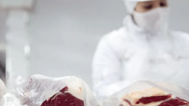 Tres que no fallan en exportaciones (ventas de carne bovina, soja y celulosa pusieron a julio 7% arriba que 2024)