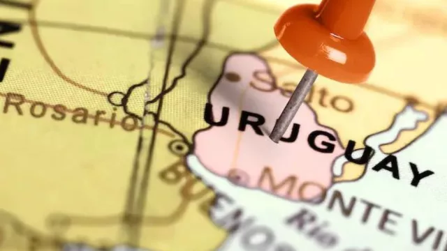 Cada departamento con su palanca (MVD, Colonia y Canelones son los principales exportadores)