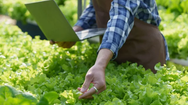 Un sector que echa raíces en las startups (más de 750 empresas jóvenes rediseñan la agroalimentación en LATAM)