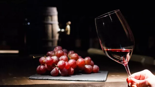 WinesOf: un pase digital para democratizar el enoturismo (hoy suma más de 500 profesionales en 10 países)